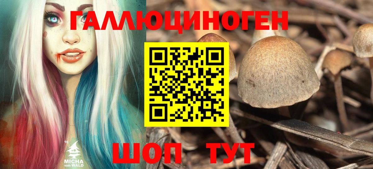 Галлюциногенные грибы прущие грибы Новоалтайск