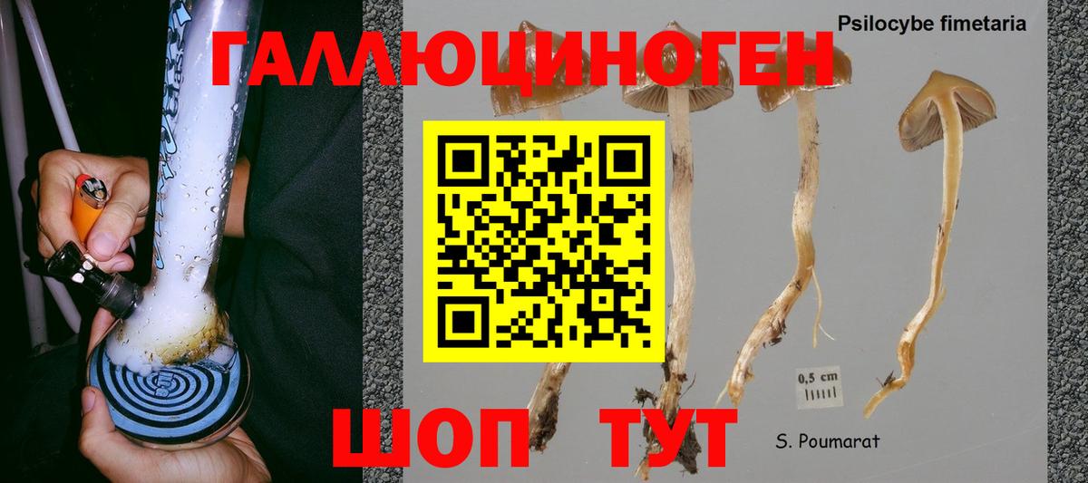 Новоалтайск  Псилоцибиновые грибы мухоморы  Вход с VPN 